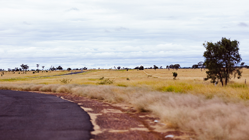 A photo of a landscape featuring a dry grassy field scattered with trees.