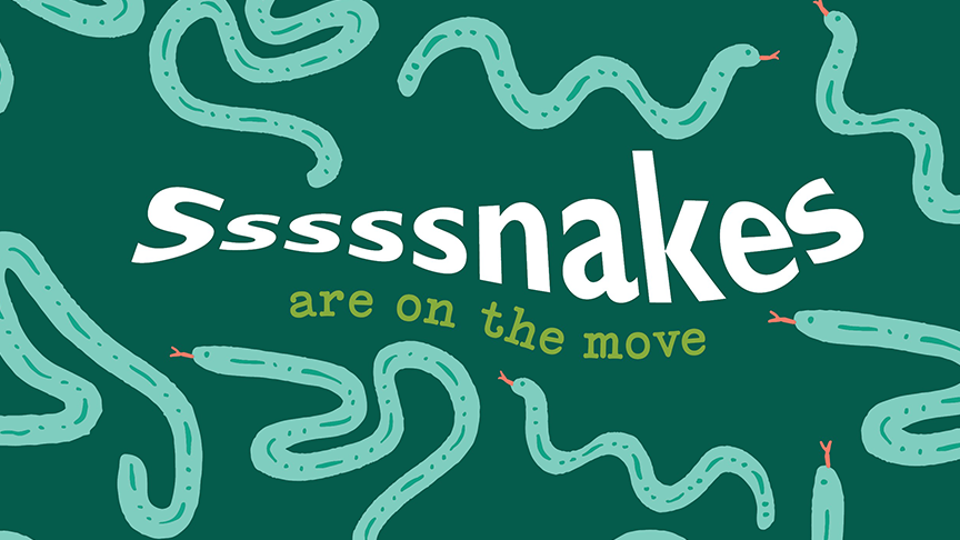 Graphics with snakes and the text 'Ssssnakes are on the move'