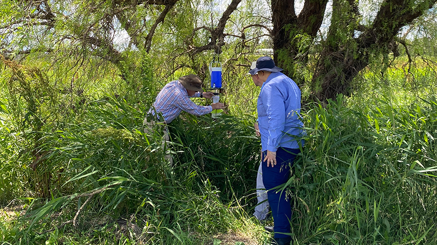 Three men standing in wet bushland inspecting a mosquito trap